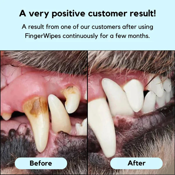 Disposable Dental Finger Wipes For Pets