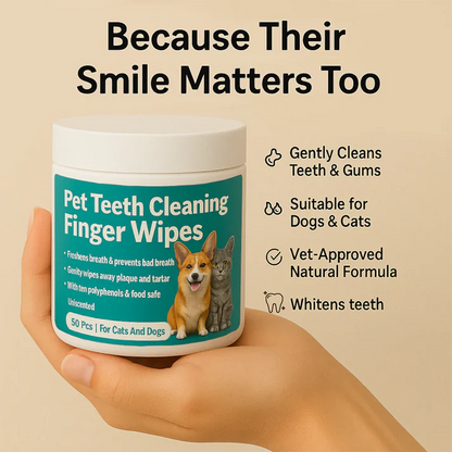 Disposable Dental Finger Wipes For Pets