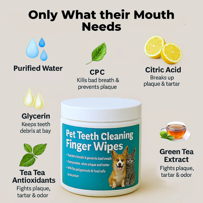 Disposable Dental Finger Wipes For Pets