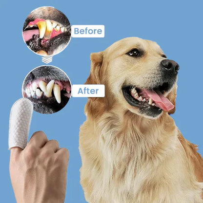Disposable Dental Finger Wipes For Pets